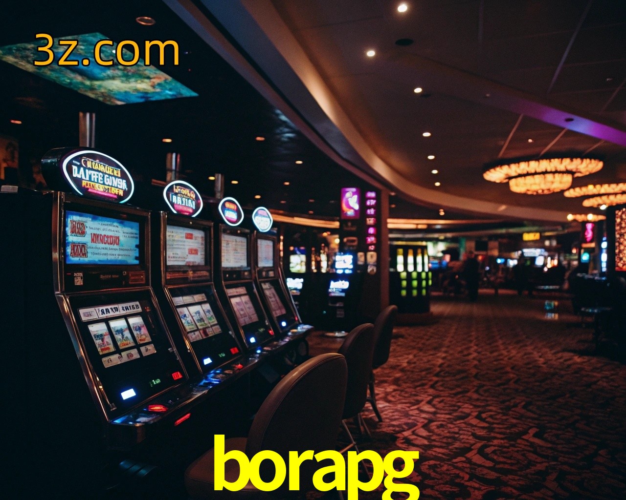  borapg login